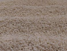 15972681 1097279107047606 o